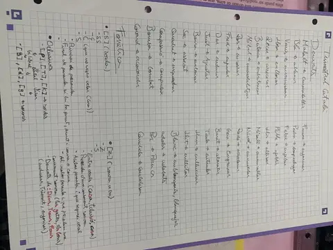 Apunts manuscrits de sintaxi: determinants, tonicitat i esquemes de constituents