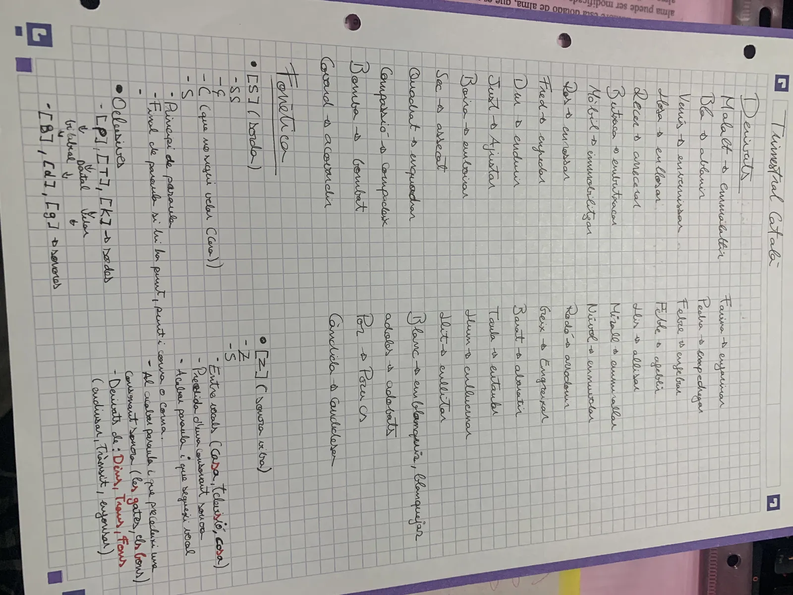 Apunts manuscrits de sintaxi: determinants, tonicitat i esquemes de constituents