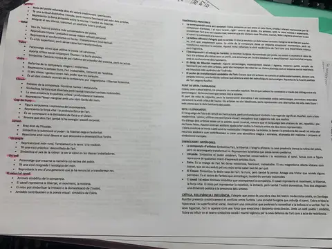 Fitxa de l'obra: temàtiques principals, punt de vista, estil, simbologia i crítica