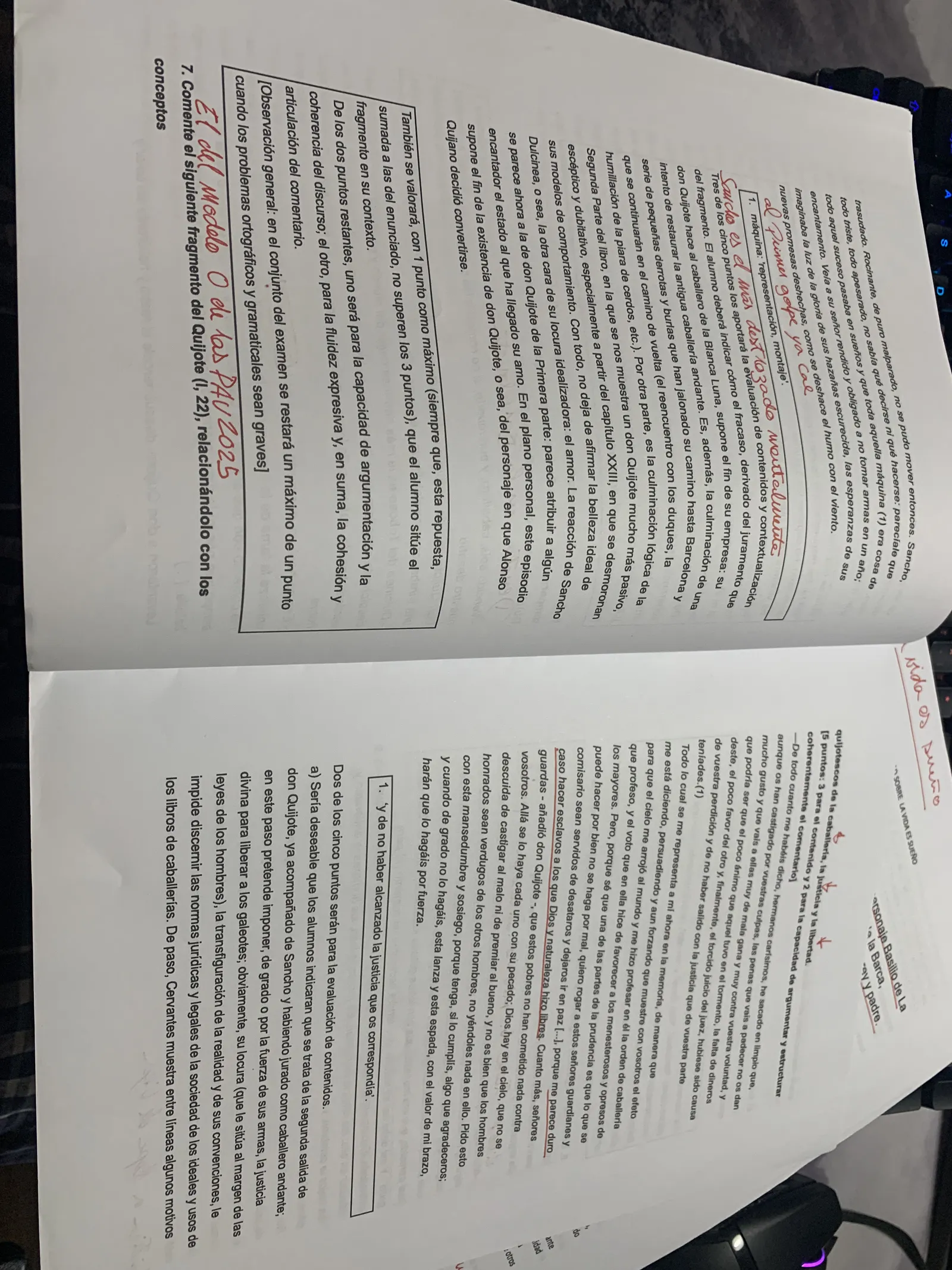 Pregunta 7: comentar un fragmento del Quijote II, 20, con el modelo de examen de 2025