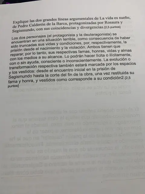 Las dos líneas argumentales de La vida es sueño: Segismundo y Rosaura