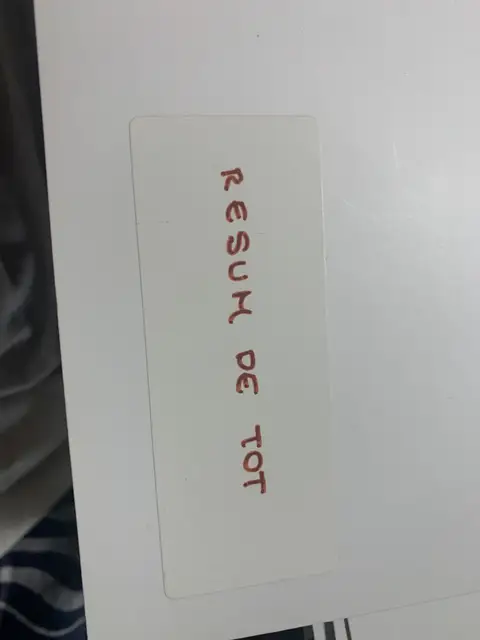Separador retolat «Resum de tot»