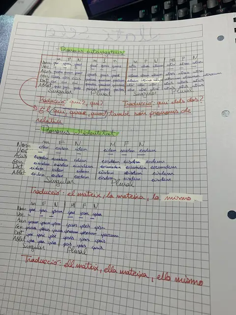 Declinació dels pronoms interrogatius, relatius (qui, quae, quod) i d'identitat (idem, eadem)