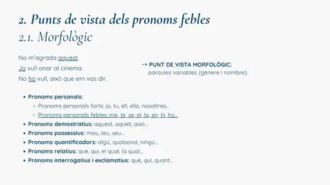 Punt de vista morfològic: tipus de pronoms