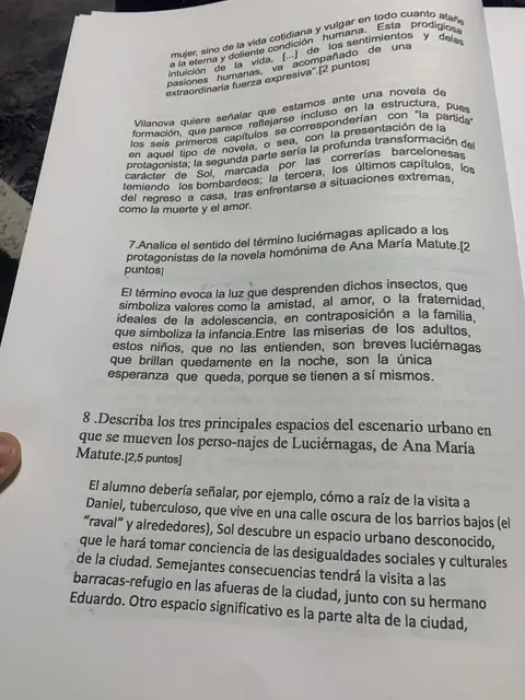 Preguntas 7 y 8: el sentido del término «luciérnagas» y los tres espacios urbanos de la novela