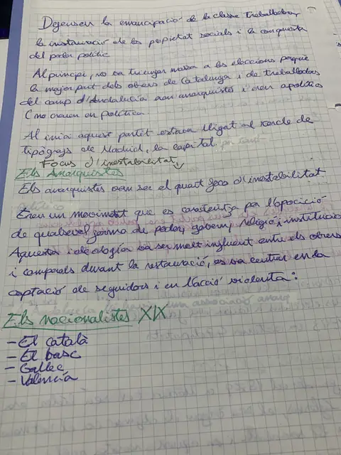 Els anarquistes com a quart focus d'inestabilitat i els nacionalismes del segle XIX