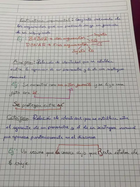 Estructura argumental de los verbos y relaciones de identidad: anáfora y catáfora