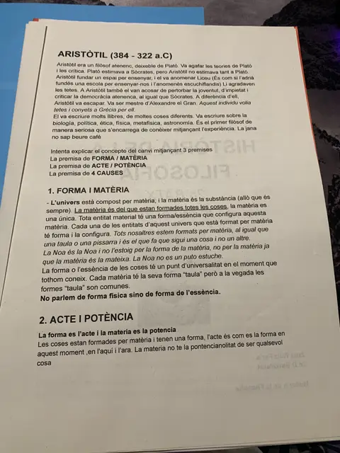 Resum d'Aristòtil (384-322 aC): forma i matèria, acte i potència i les quatre causes