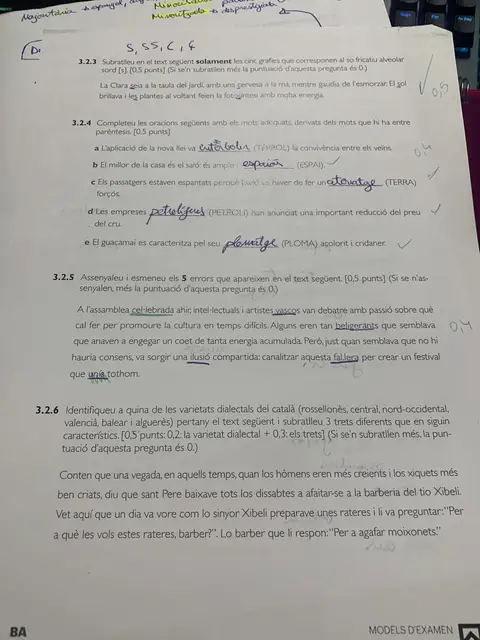 Model PAU: grafies del so fricatiu alveolar sord, mots derivats, errors i trets dialectals