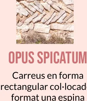 Mur de pedres col·locades en espina de peix