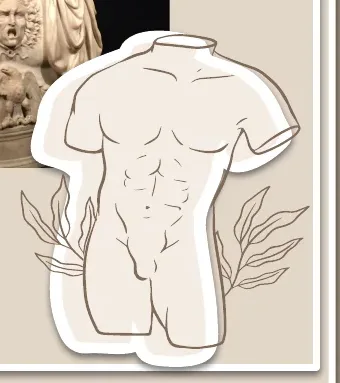 Il·lustració d'un tors humà