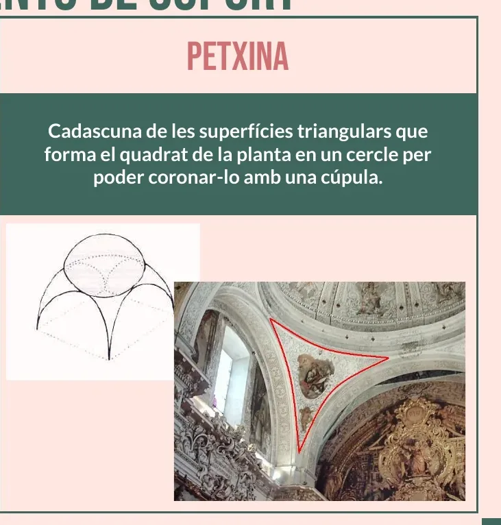 Esquema d'una petxina i fotografia d'una petxina assenyalada amb un triangle vermell
