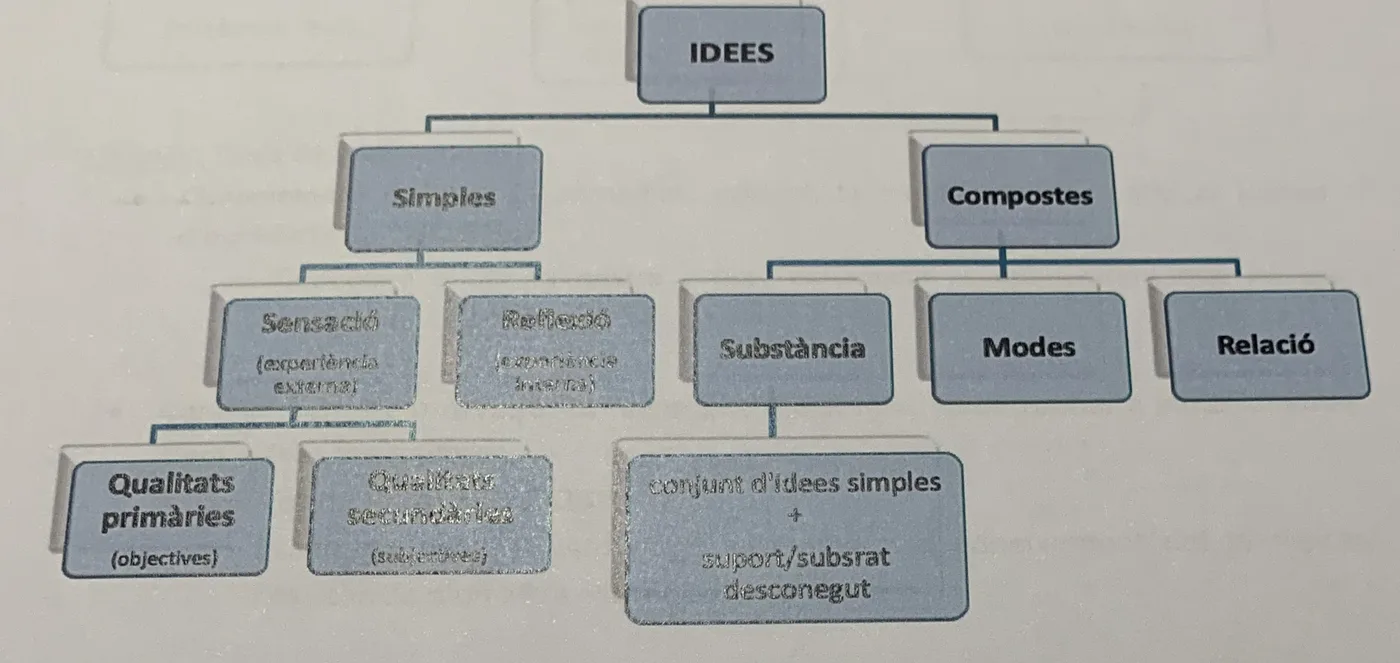 Esquema de la classificació de les idees segons Locke