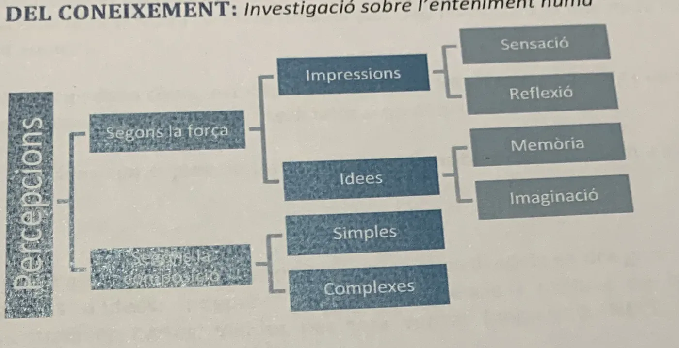 Esquema de la classificació de les percepcions segons Hume