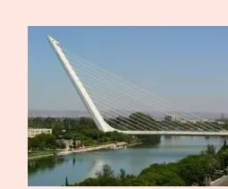 Pont modern amb pilar inclinat i cables